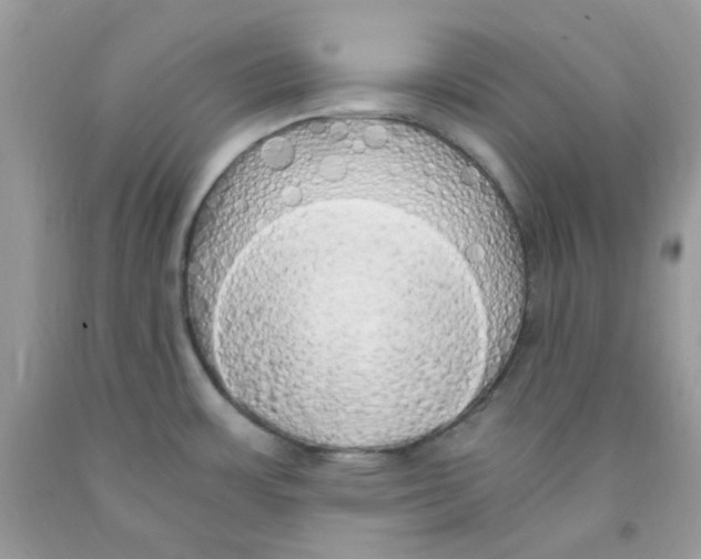 X0000091061483200709041148