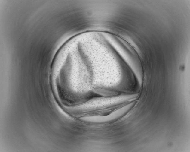 X0000091061484200709041148