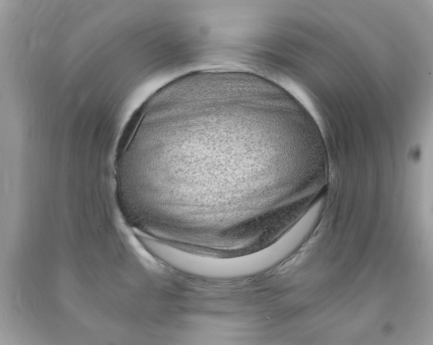 X0000091061485200709041148
