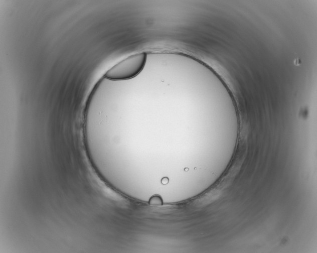 X0000091061486200709041148