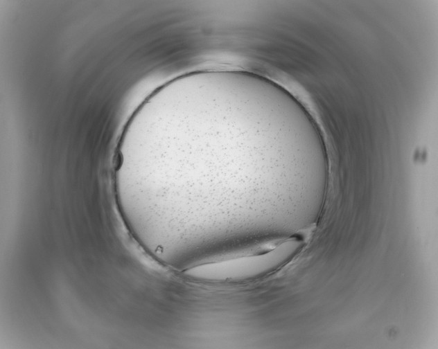 X0000091061488200709041148