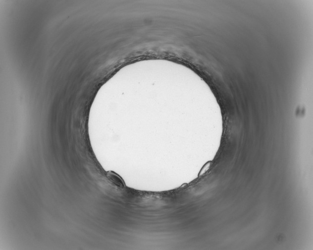 X0000091061489200709041147
