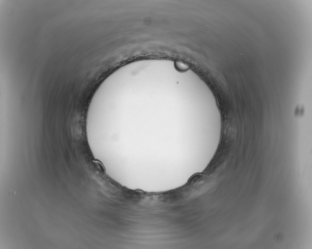 X0000091061490200709041147
