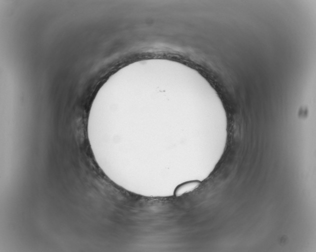 X0000091061493200709041147