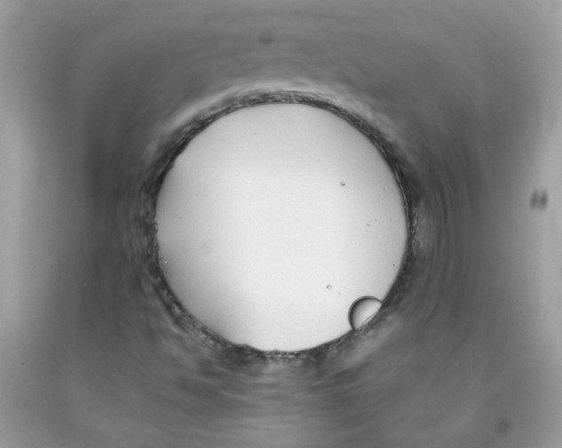 X0000091061494200709041147