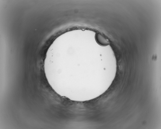 X0000091061495200709041147