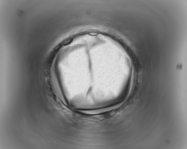 X0000091061496200709041147