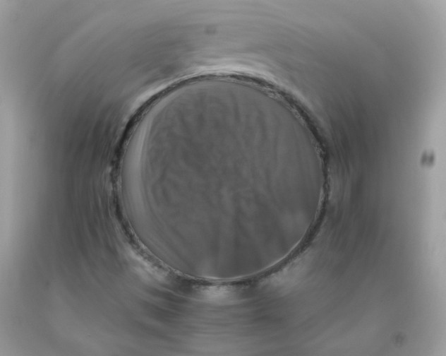 X0000091061497200709041147
