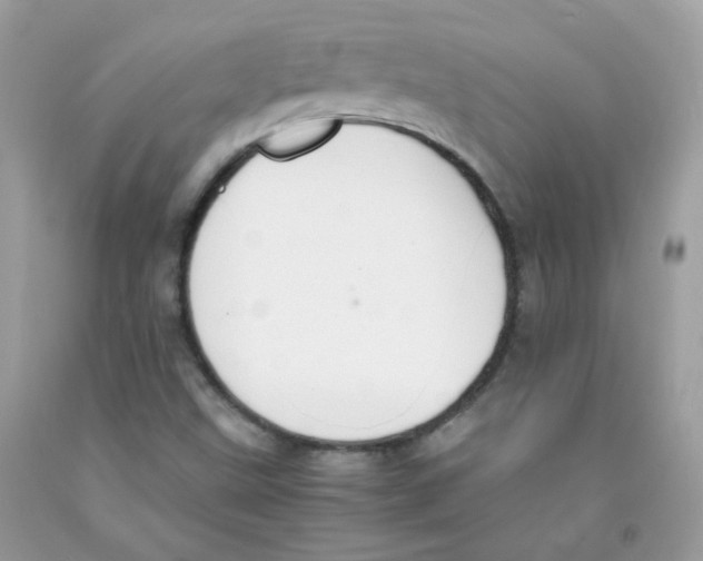 X0000091061499200709041147