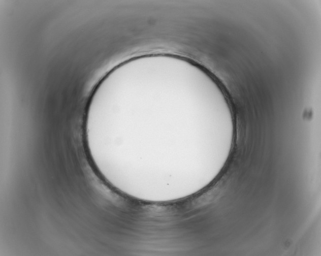 X0000091061500200709041147