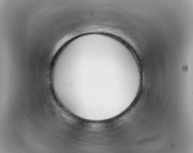 X0000091061501200709041147
