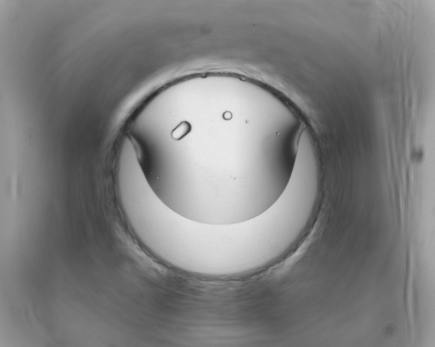 X0000091061502200709041147