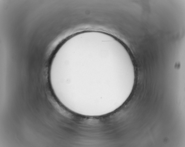 X0000091061503200709041147