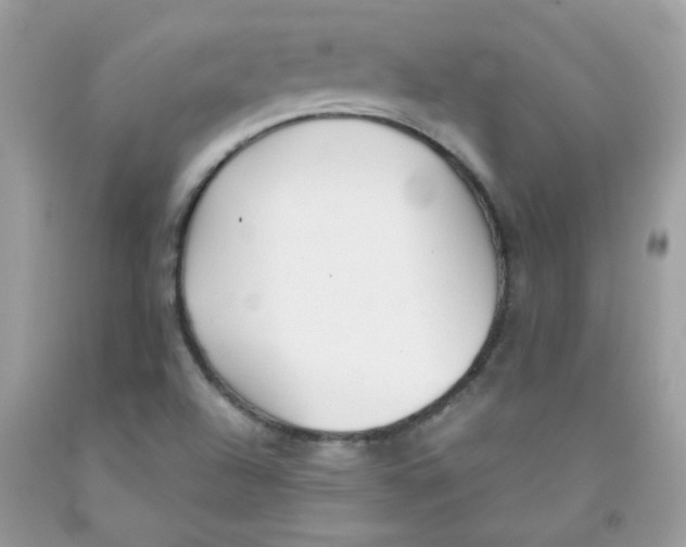 X0000091061504200709041147