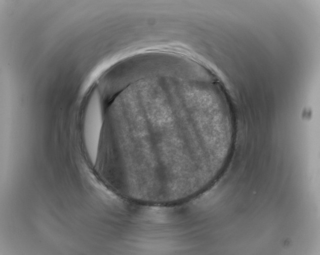 X0000091061506200709041147