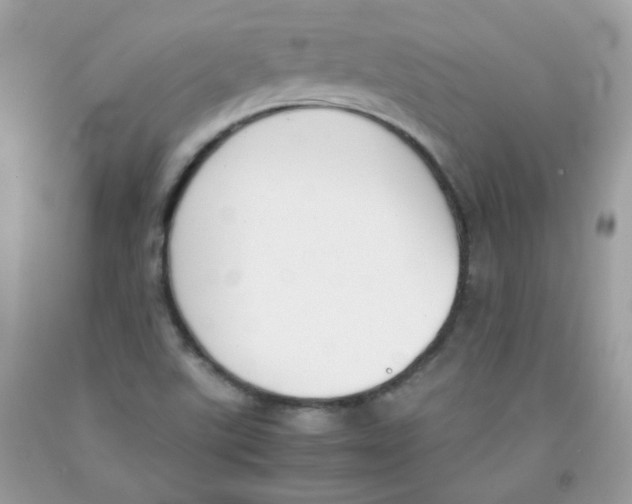 X0000091061507200709041147