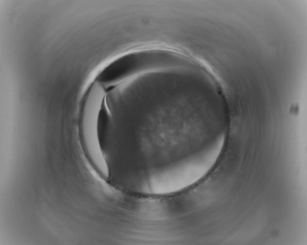 X0000091061508200709041147