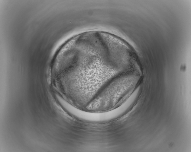 X0000091061510200709041147