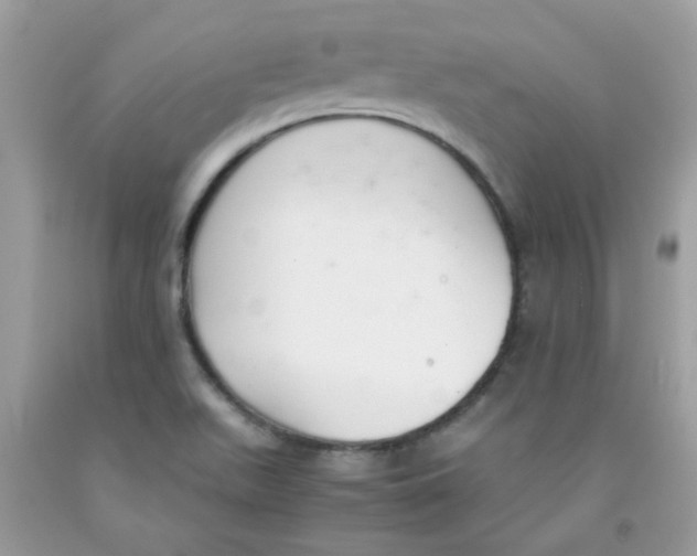 X0000091061511200709041147
