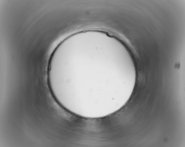 X0000091061512200709041148