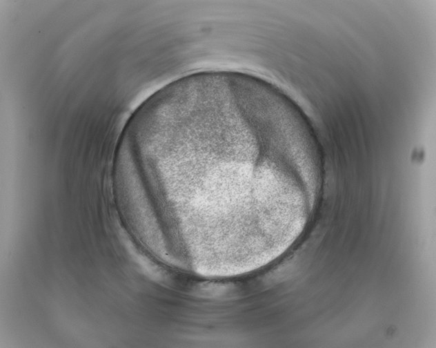 X0000091061513200709041148