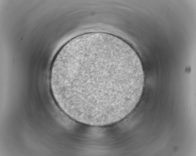 X0000091061514200709041148