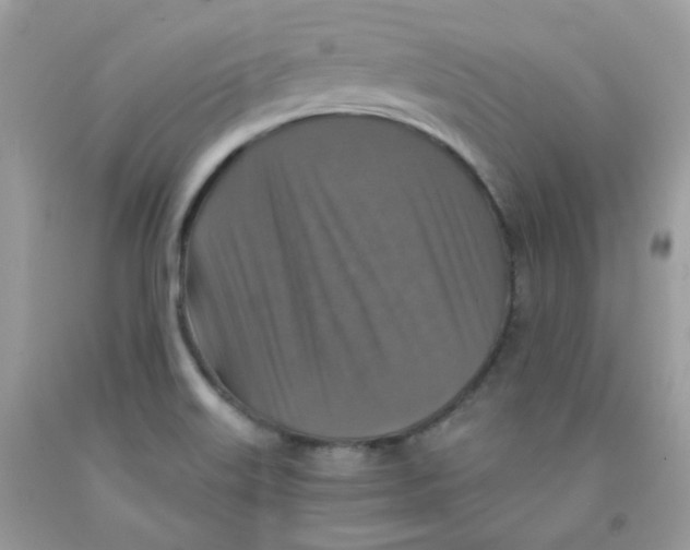 X0000091061515200709041148