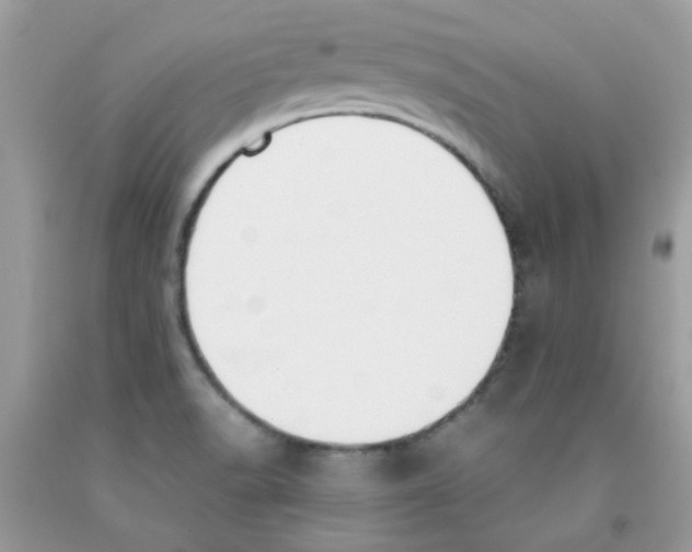X0000091061518200709041148