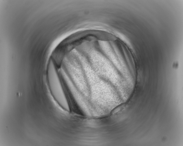 X0000091061520200709041148