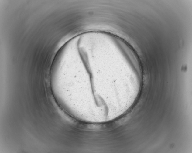 X0000091061521200709041148