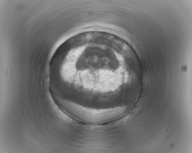 X0000091061522200709041148