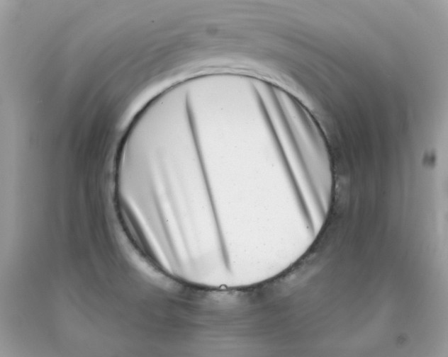 X0000091061523200709041148
