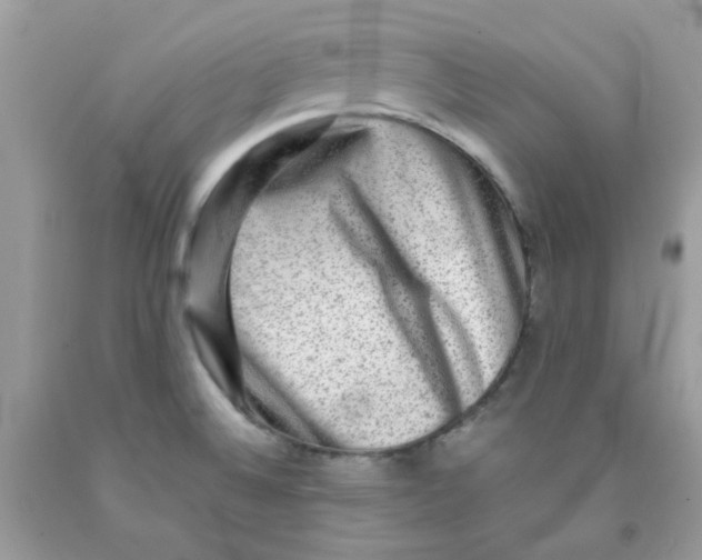 X0000091061524200709041148