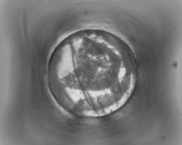 X0000091061525200709041148