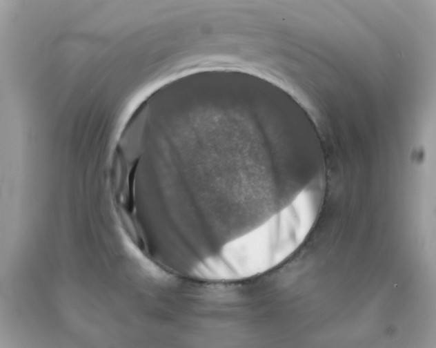 X0000091061527200709041148