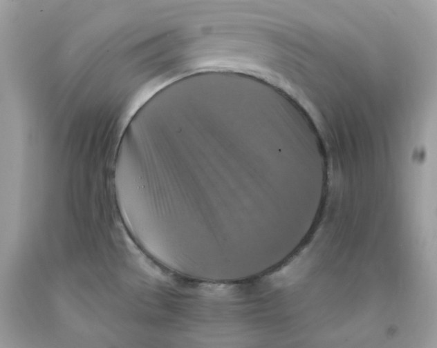 X0000091061529200709041148