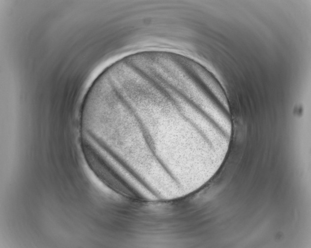 X0000091061531200709041148