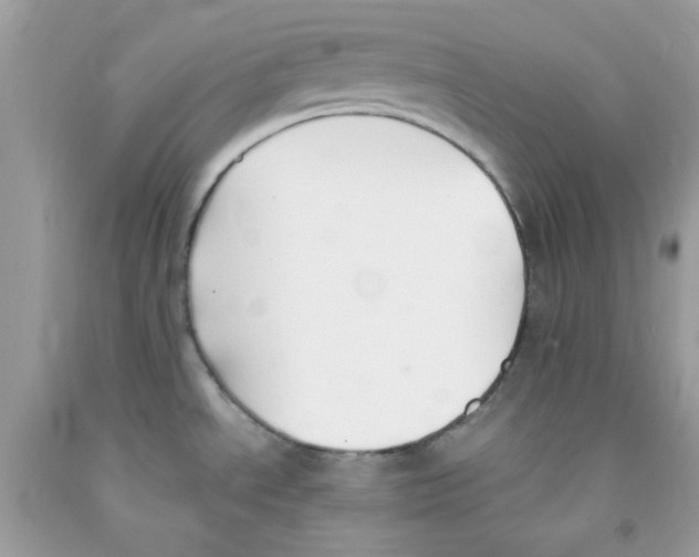 X0000091061534200709041148