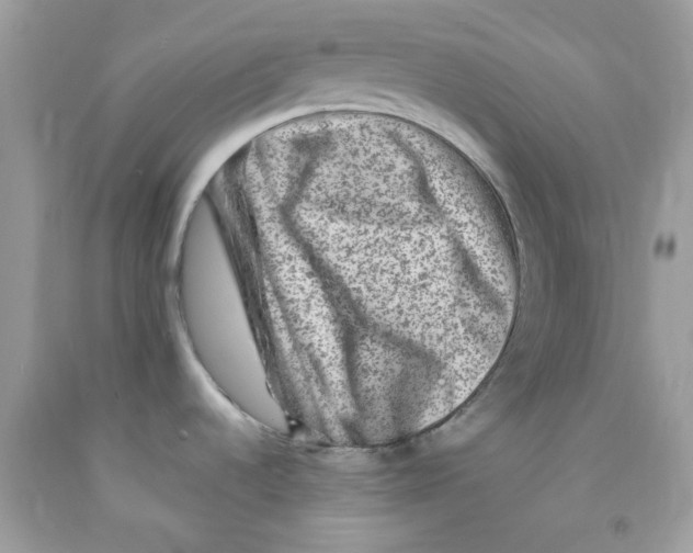 X0000091061536200709041148