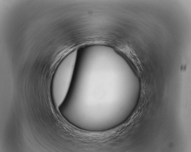 X0000091070001200708061033