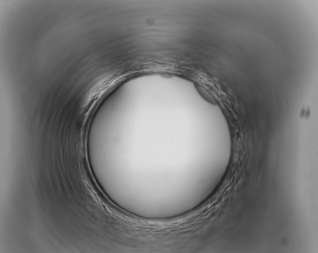 X0000091070002200708061033