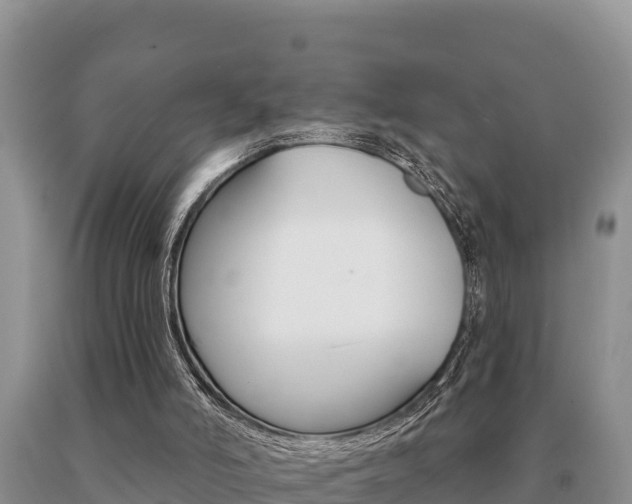 X0000091070006200708061033