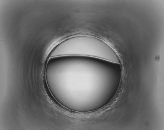 X0000091070007200708061033