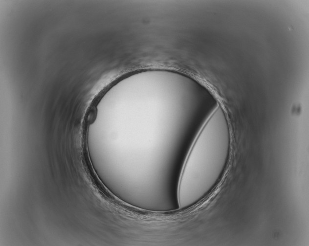 X0000091070008200708061033