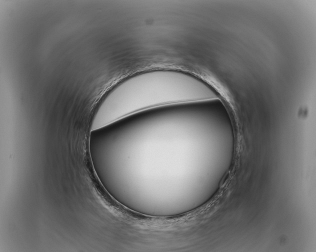 X0000091070009200708061033