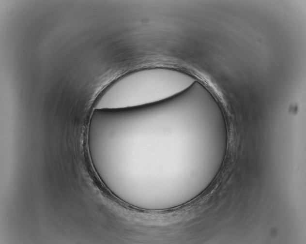 X0000091070010200708061033