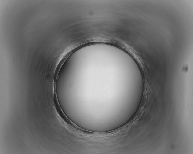 X0000091070011200708061033