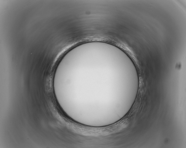 X0000091070012200708061033