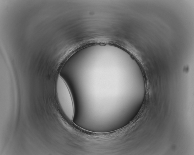 X0000091070013200708061033