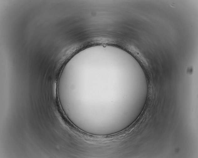 X0000091070014200708061033